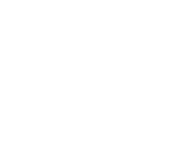particles